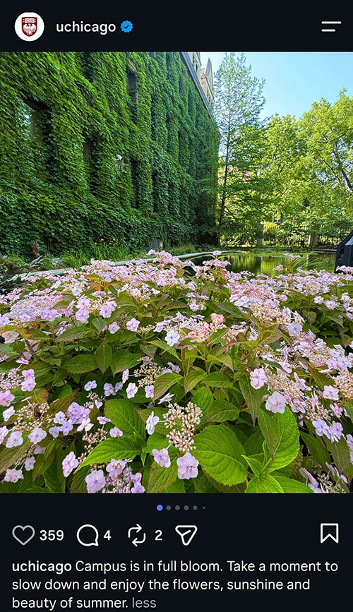 @UChicago on Instagram