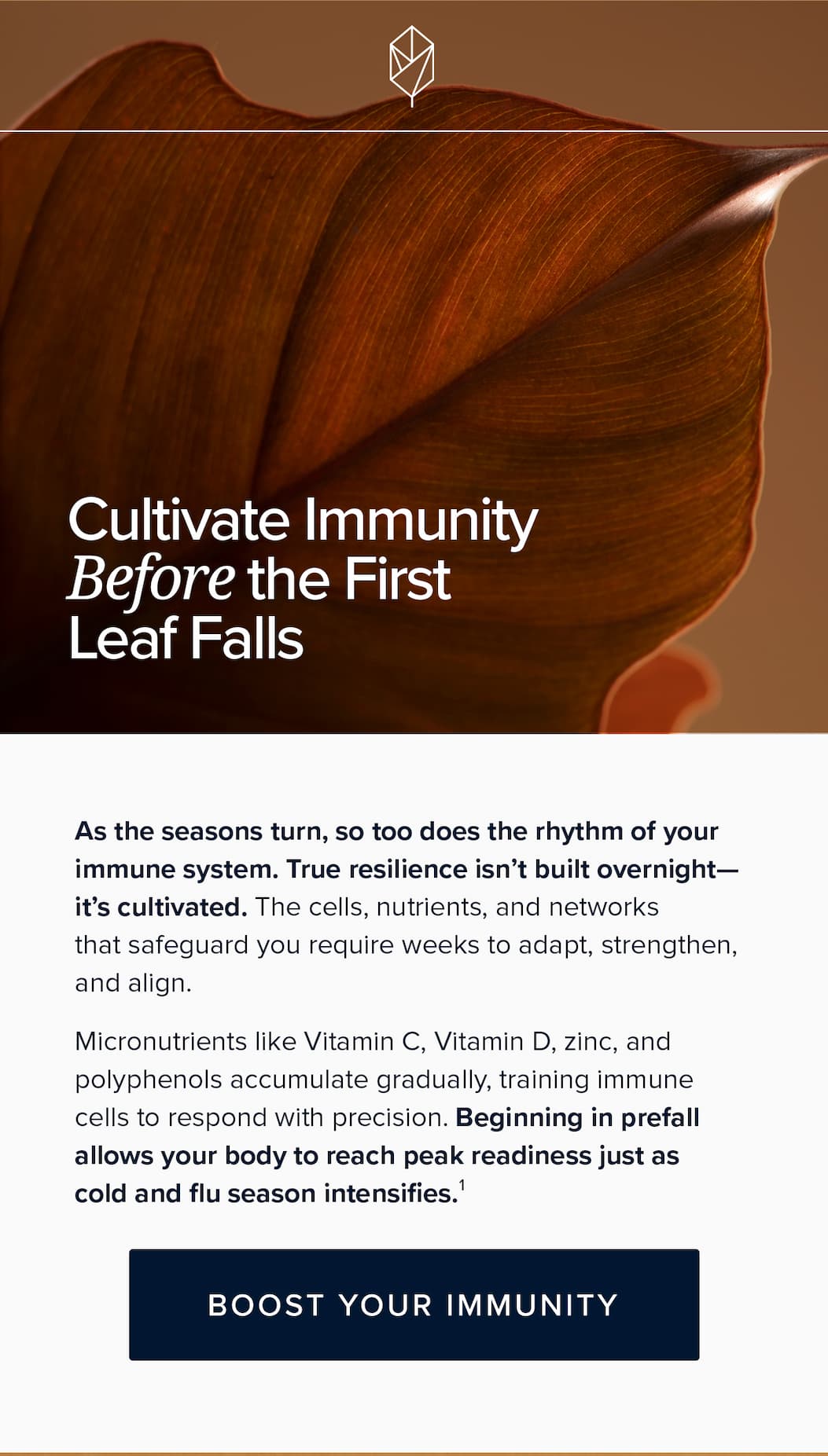 Cultivate Immunity Before the First Leaf Falls