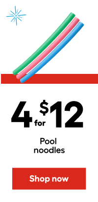 4 for $12 Pool noodles