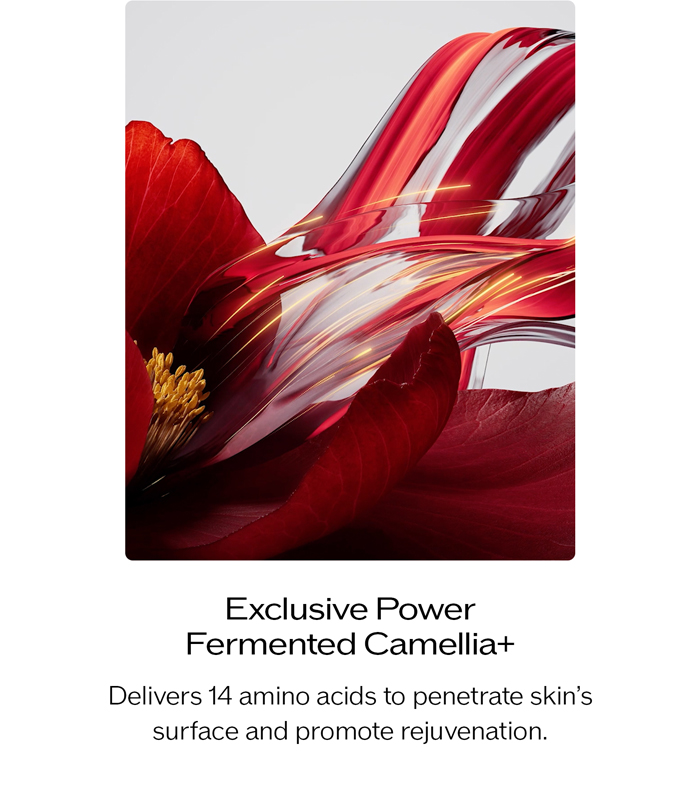 Exclusive Power Fermented Camellia+