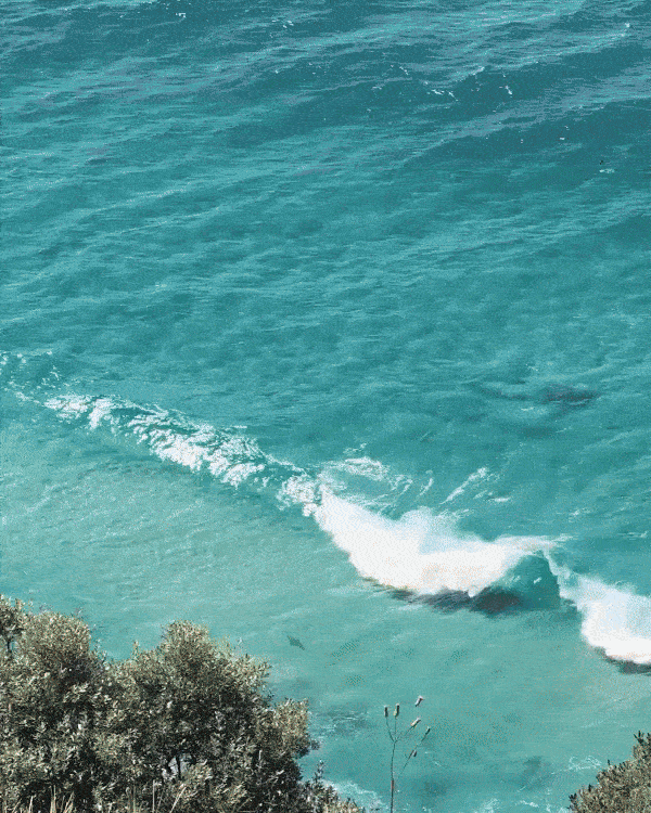Ocean