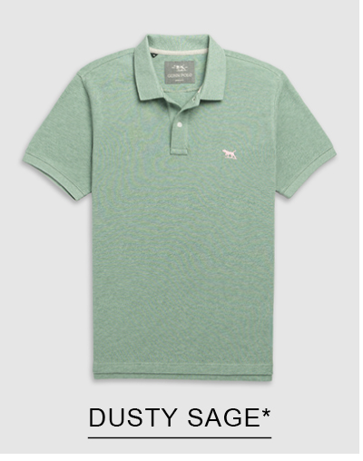 Shop The Gunn Sports Fit Polo, Dusty Sage online and instore at Rodd & Gunn