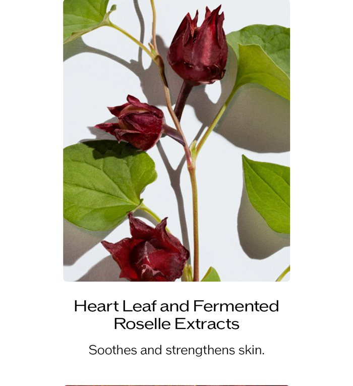 Heartleaf and Fermented Roselle Extracts