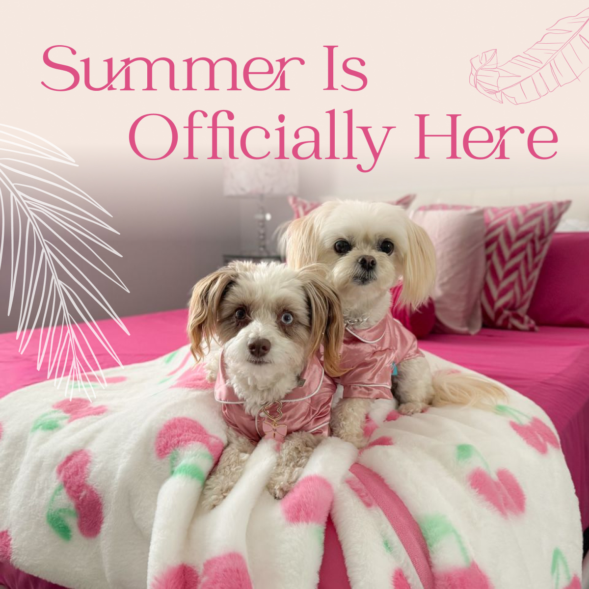 Manage Your Summer Night Sweats This Year