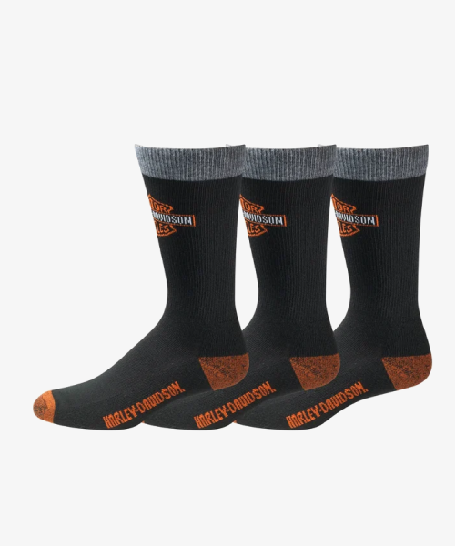 4th_img_MensBarShieldRidingSock