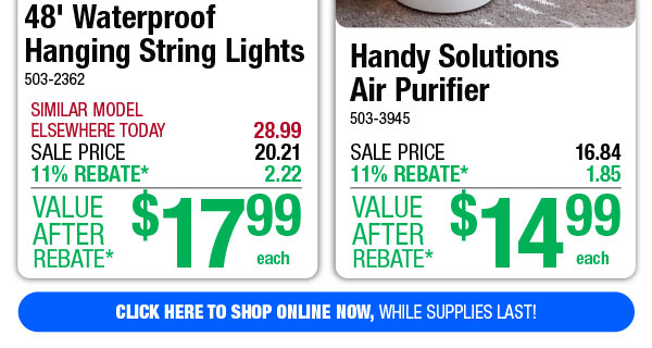 Handy Solutions Air Purifier - ONLY $14.99 After Rebate*!