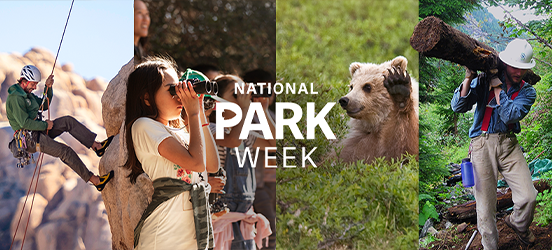 A collage of images with the words, National Park Week, displayed on top. The images are a person rock climbing, a child looking through binoculars, a bear waving, and a Service Corps member carrying a log on their shoulders.