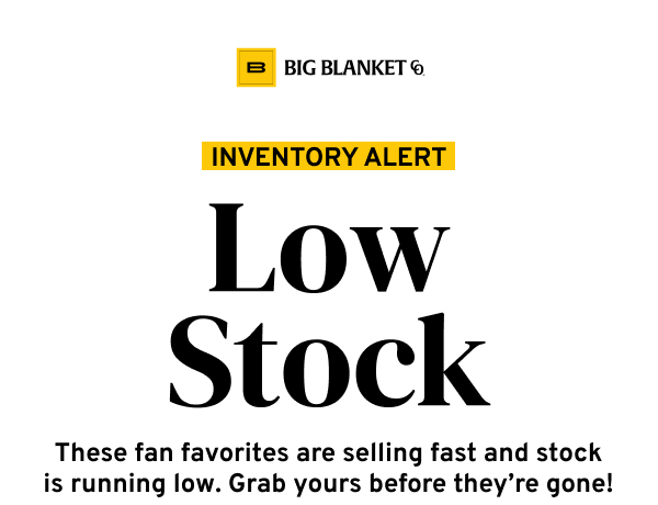 INVENTORY ALERT - LOW STOCK