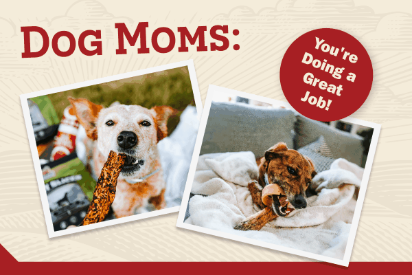 "Dog Mom's: You're doing great" with photos of dogs