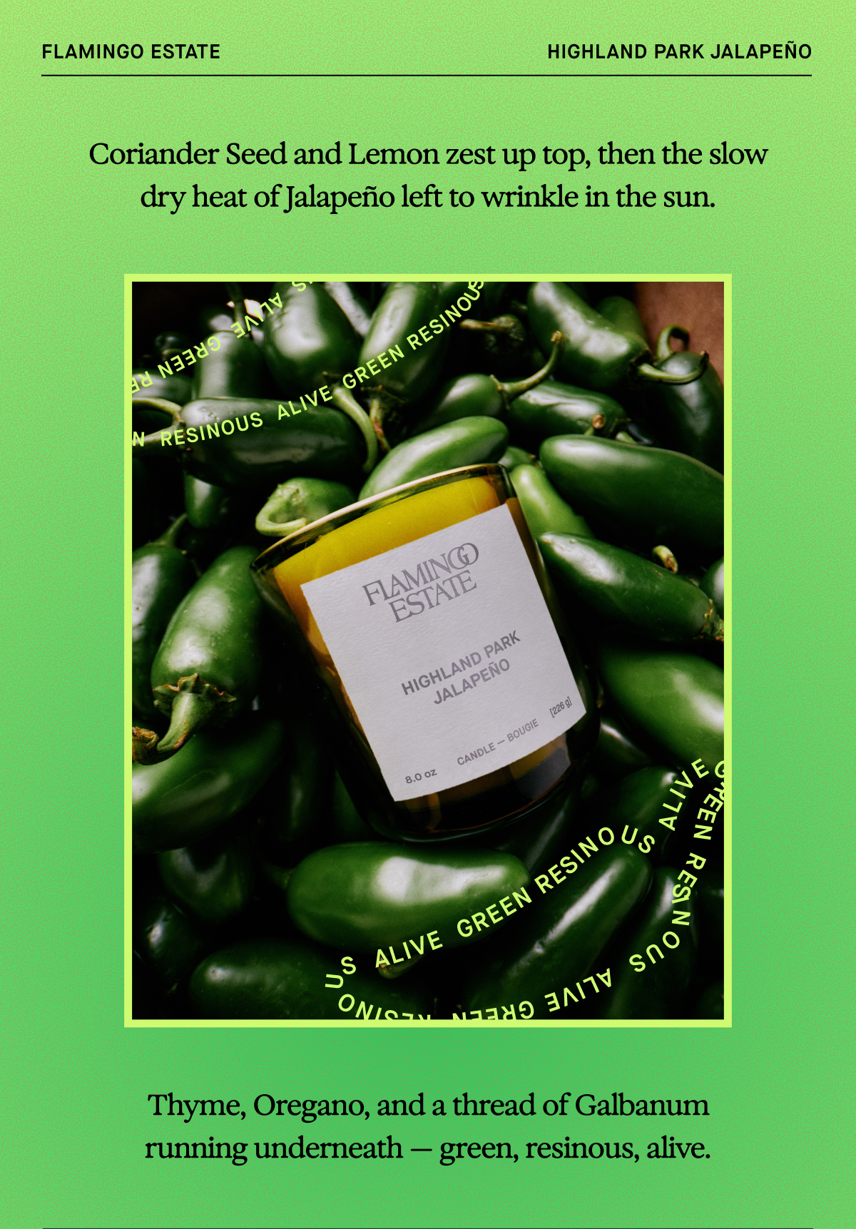 Jalapeno Candle