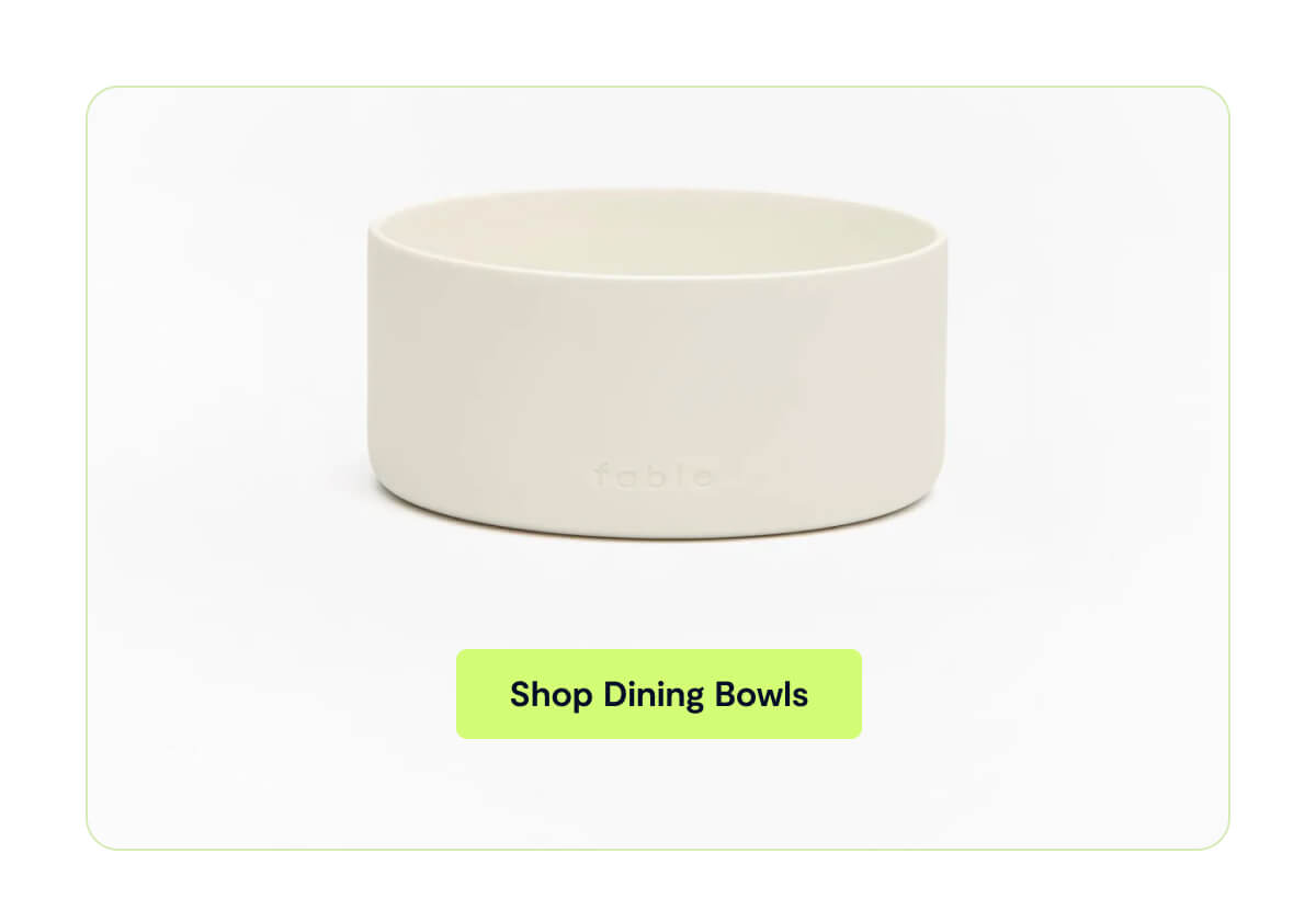 Shop Dining Bowls
