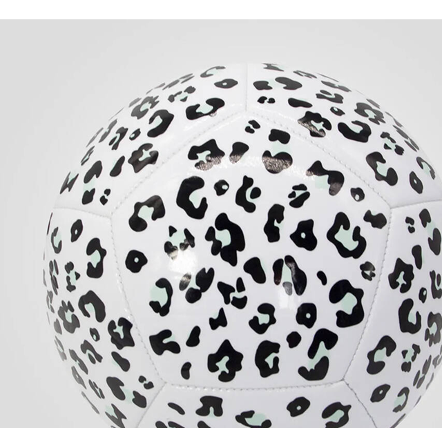 Lioness Leopard Football With Gift Box
