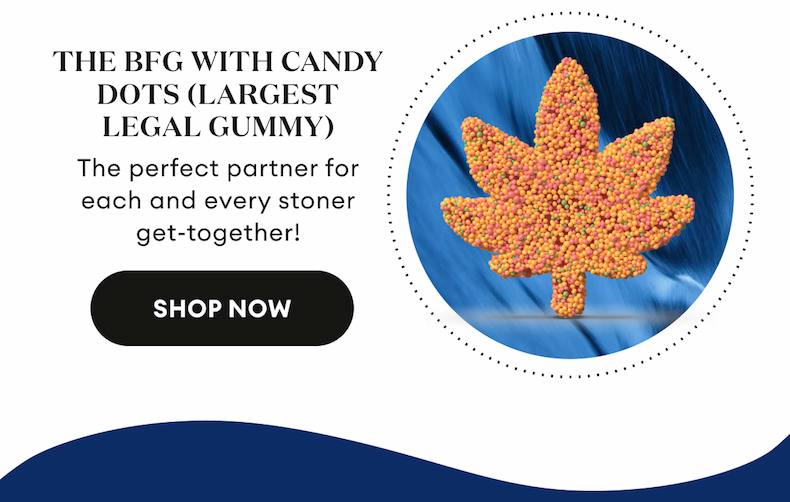 The BFG With Candy Dots (Largest Legal Gummy). The perfect partner for each and every stoner get-together! Shop Now