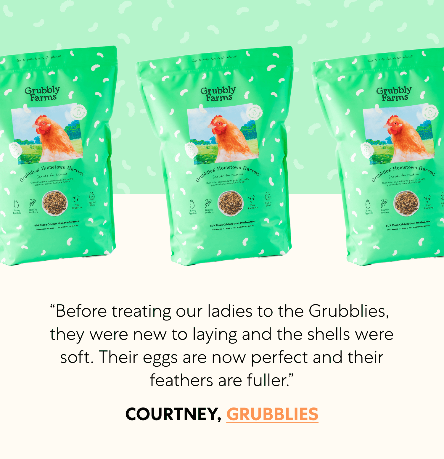 “Before treating our ladies to the Grubblies,  they were new to laying and the shells were soft. Their eggs are now perfect and their feathers are fuller.” Courtney, Grubblies