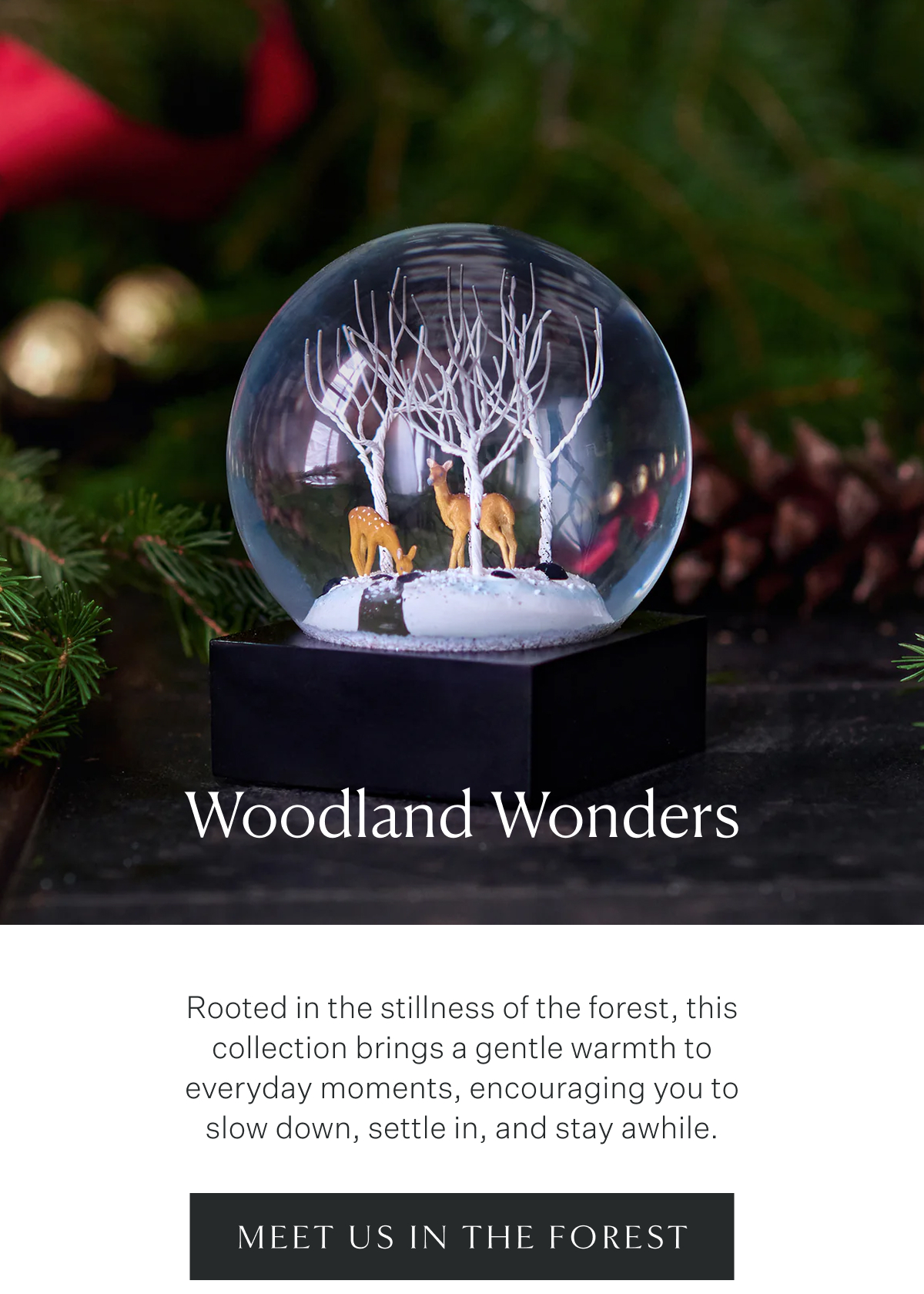 Woodland Wonders. Rooted in the stillness of the forest, this collection brings a gentle warmth to everyday moments, encouraging you to slow down, settle in, and stay awhile. Meet Us in the Forest.