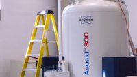 Bruker 800 MHz spectrometer equipped with a cryoprobe