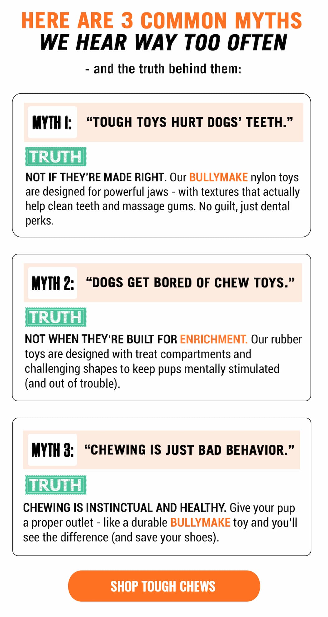 Bullymake Dog Toy Subscription Box