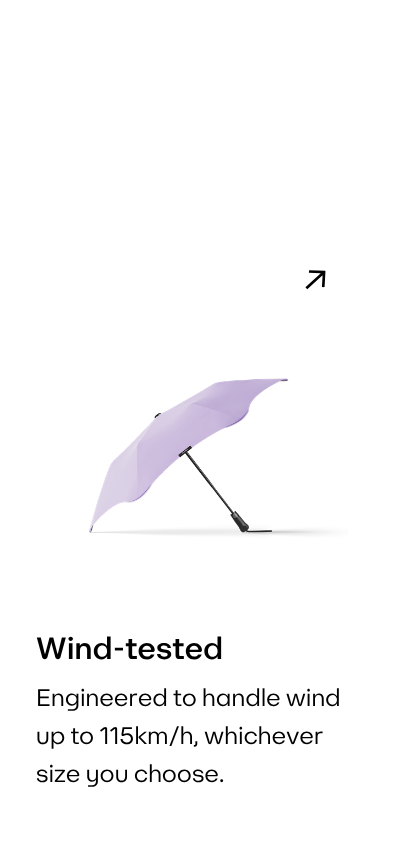 BLUNT Lilac 