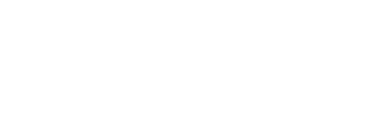 Bric's Black Friday Sale