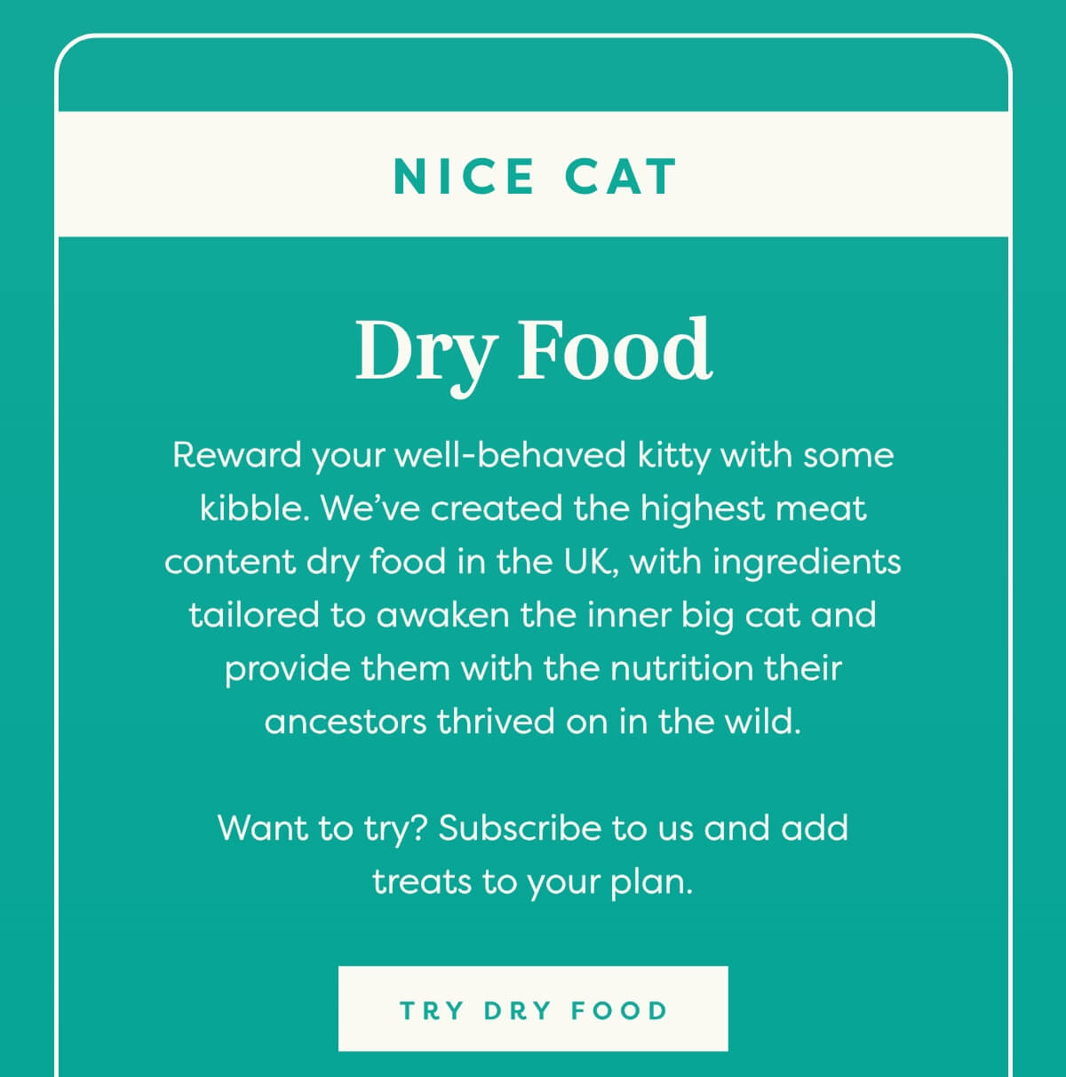 Nice cat