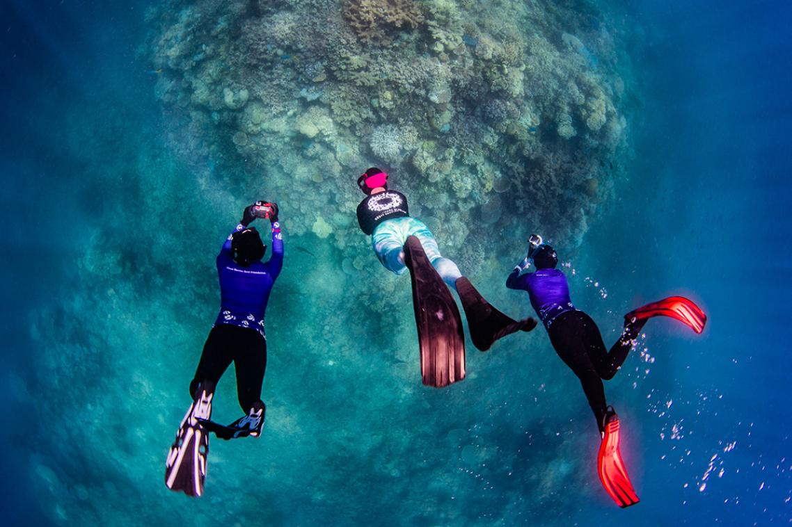 three snorkellers wearing big flippers are swimming down towards some coral with cameras held in front of them