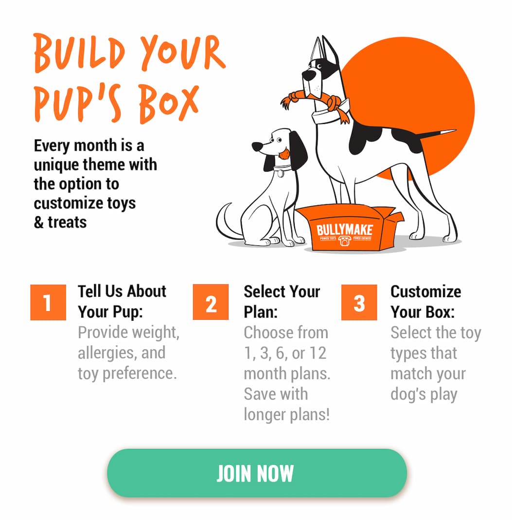 Bullymake Dog Toy Subscription Box