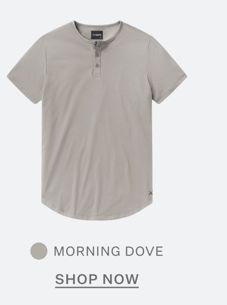 Morning Dove