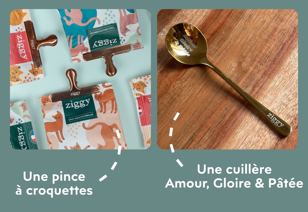 Une pince et une cuillère à pâtée