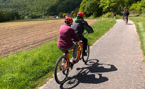 Cycle along the Main River