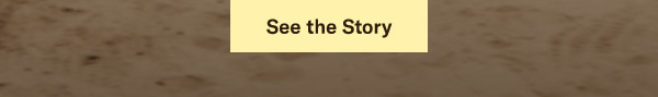 See the Story