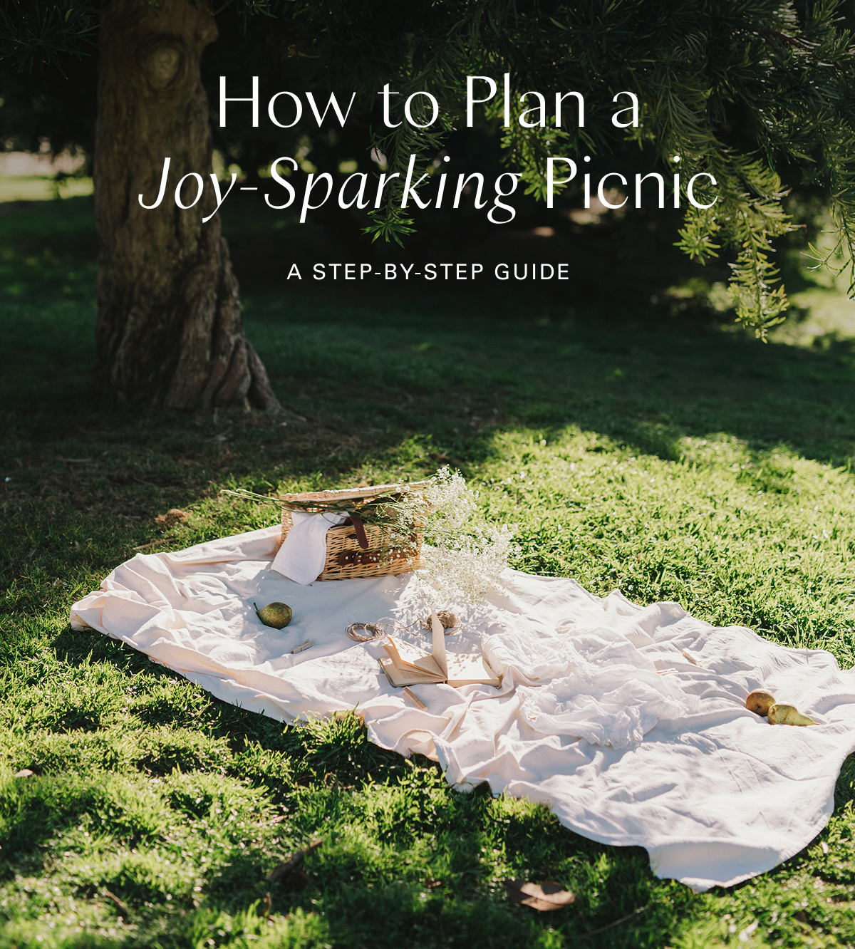 How to Plan a Joy-Sparking Picnic: A Step-by-Step Guide 