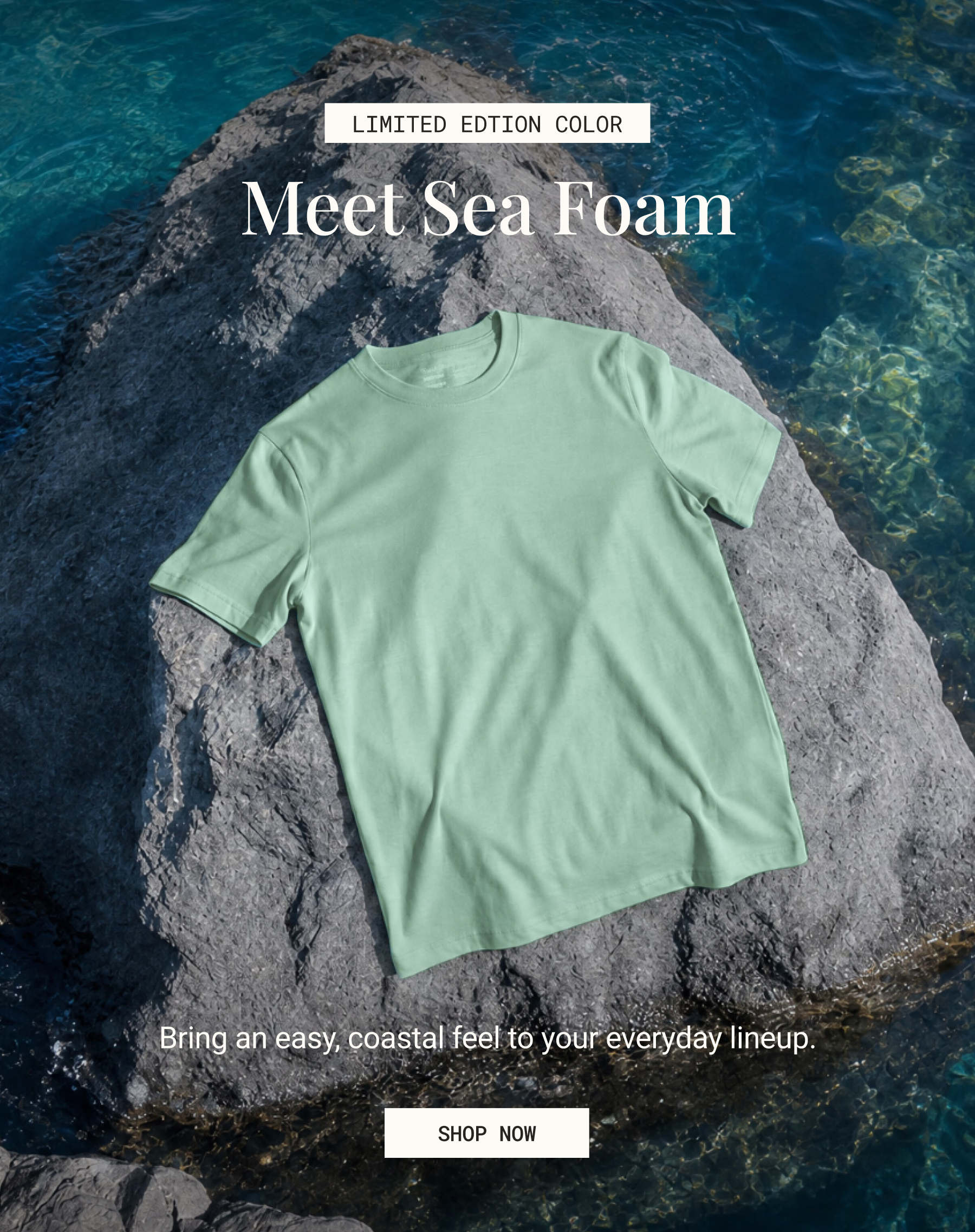 Sea foam crew neck