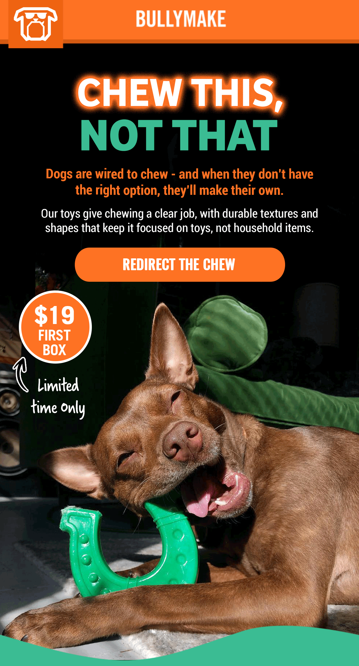 Bullymake Dog Toy Subscription Box