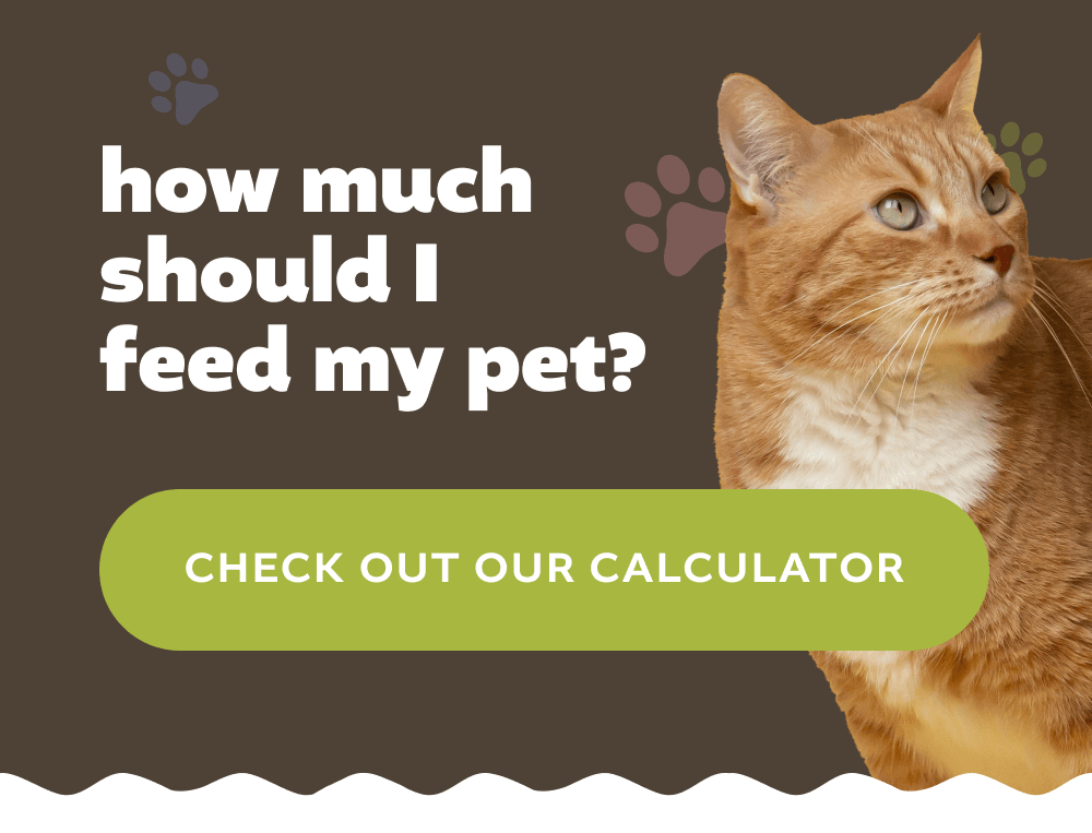[CHECK OUT OUR CALCULATOR]