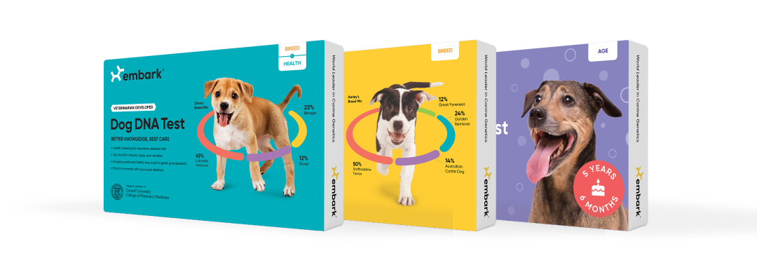 A trio of Embark DNA Tests: a Breed + Health Test, a Breed ID Test, and an Age Test