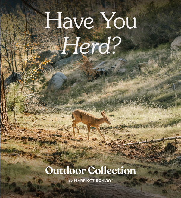 Have You Herd?