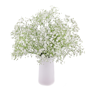 Deluxe Garden Bunch