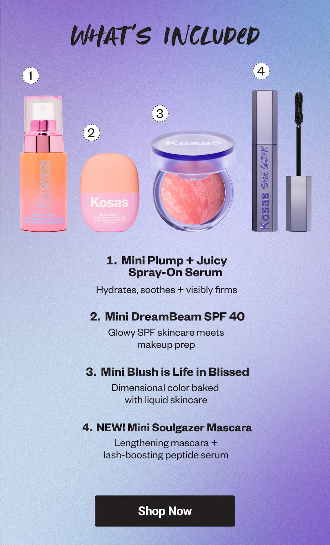 What’s Included [Shop Now]