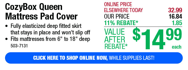 CozyBox Queen Mattress Pad Cover - Free Shipping To Store!