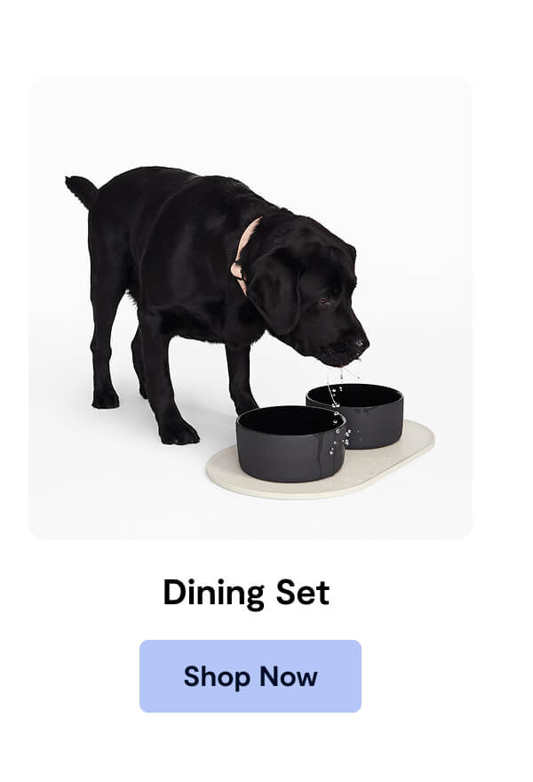 Dining Set