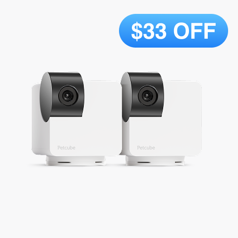 Cam 360 2 Pack