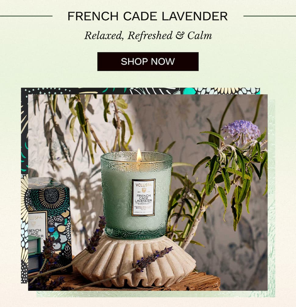 French Cade Lavender