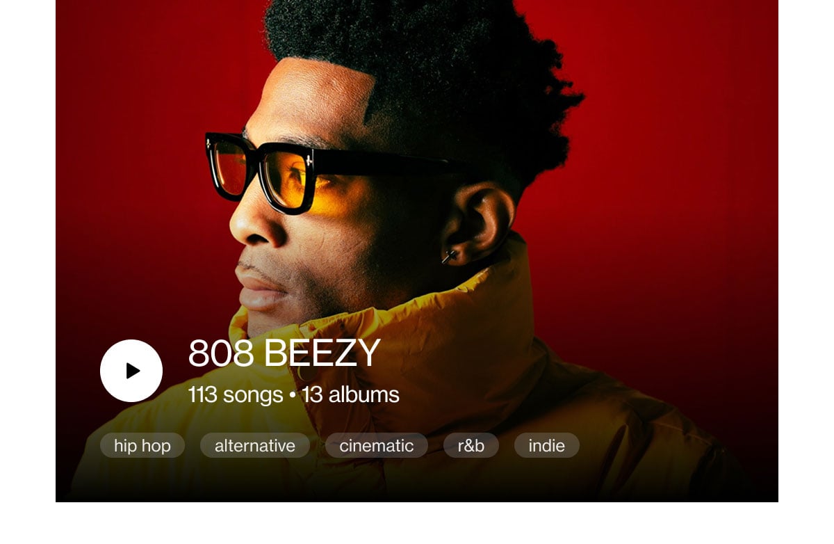 808 Beezy, 113 Songs, 13 Albums