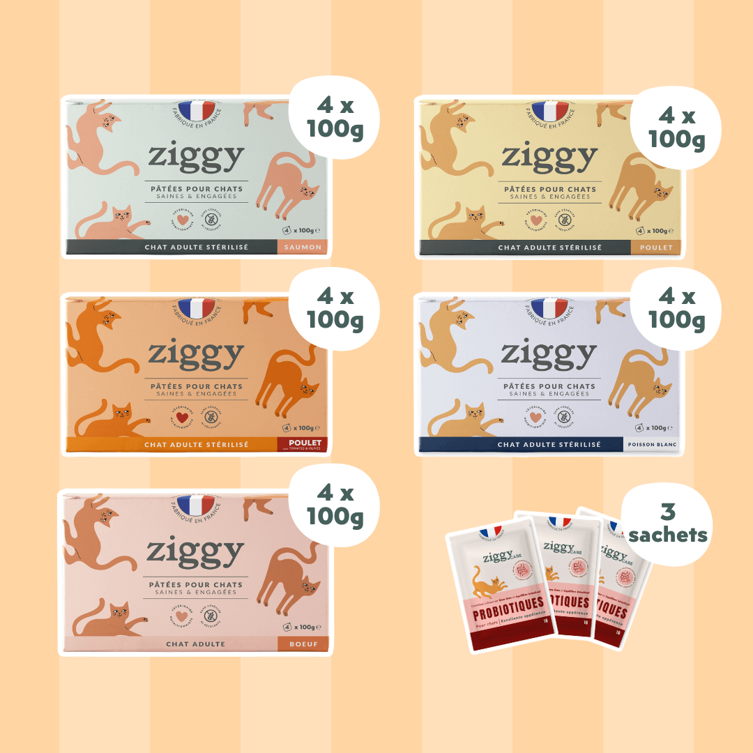 Image of Coffret Découverte Pâtées