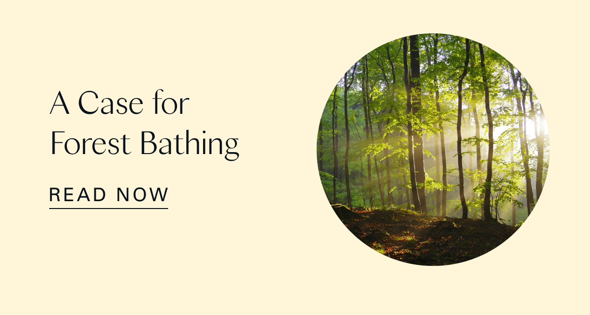 A Case for Forest Bathing
