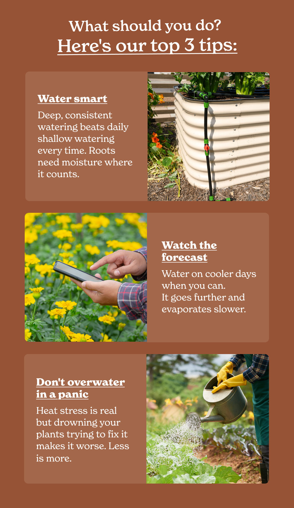 What should you do? Here's our top 3 tips: