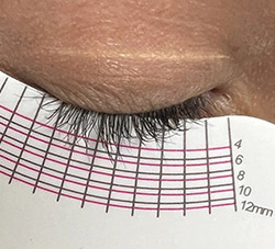 Measuring tool showing length of lashes is approximately 6 mm