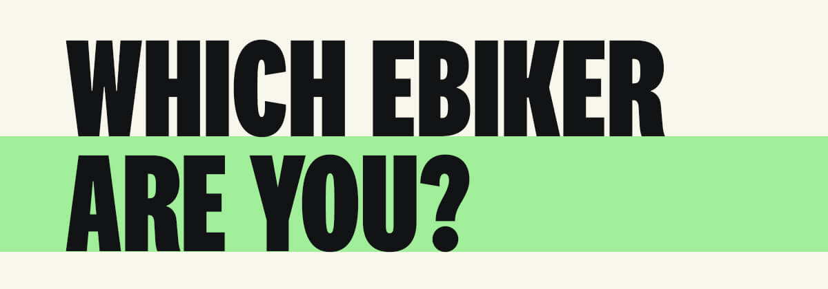 which ebiker are you?