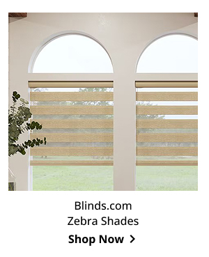 Blinds.com Zebra Shades | Shop Now >