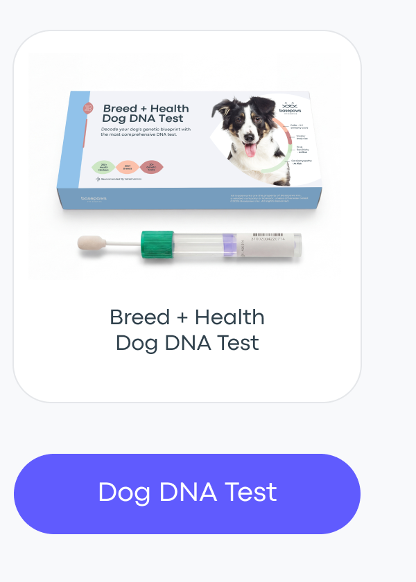 Dog DNA Test